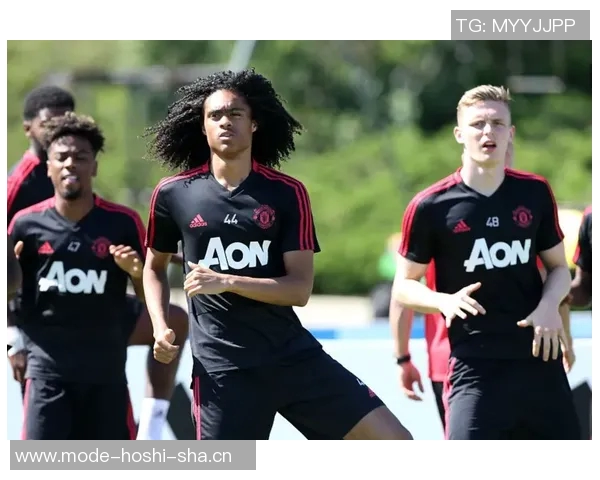 谢菲联主帅确认华裔新星陈达毅因伤缺阵四到六周 谢菲联主帅确认华裔新星陈达毅因伤缺阵四到六周