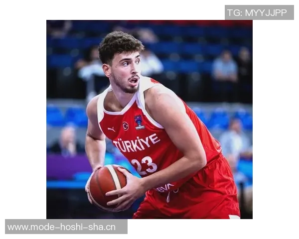 维拉纽瓦称赞申京23岁已是全明星未来潜力无限尚未达到巅峰